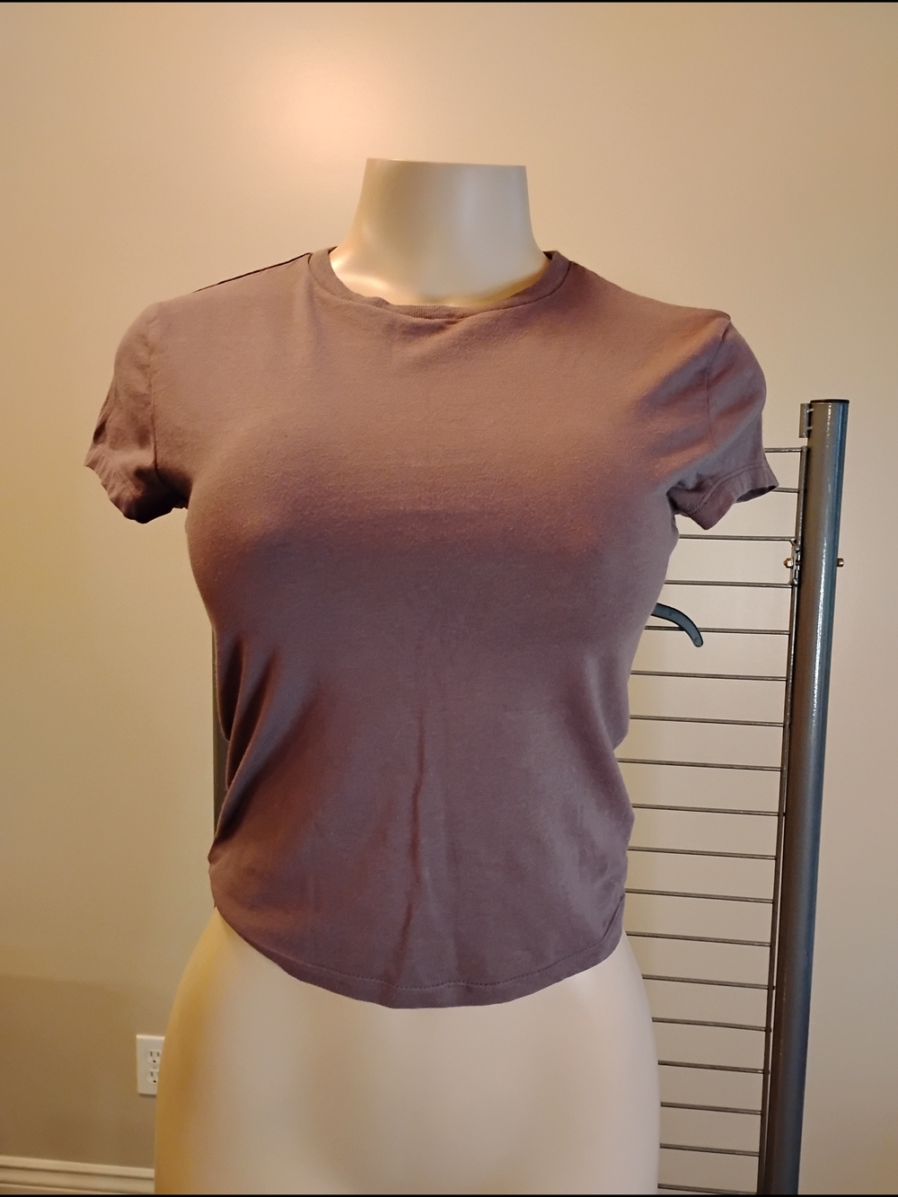 Wild fable Mauve Fitted Crop Tee